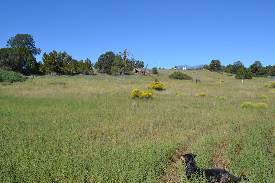 flagstaff real estate