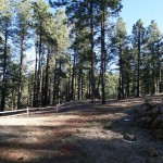 flagstaff luxury cabins for sale