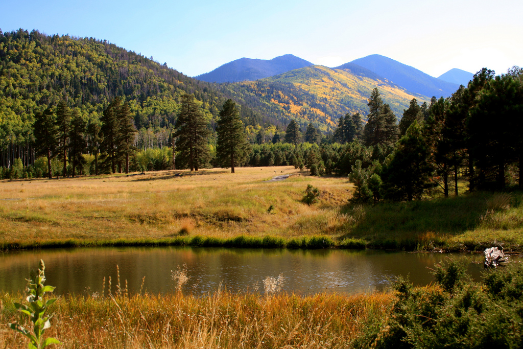 Best Camping In Flagstaff Arizona 