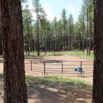 flagstaff horse property