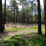 flagstaff horse property