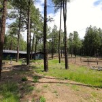 flagstaff horse property