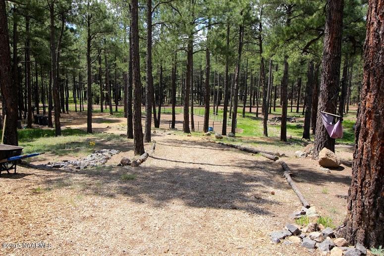 3030 W Forest Hills Dr Flagstaff Horse Property for Sale