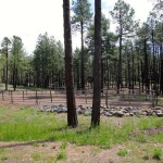 horse property for sale in flagstaff