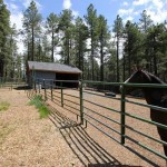 horse property for sale in flagstaff