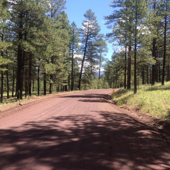 Flagstaff Land for Sale 4495 Hidden Hollow Rd