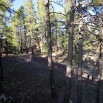 flagstaff home with yard