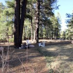 Flagstaff Homes for Sale