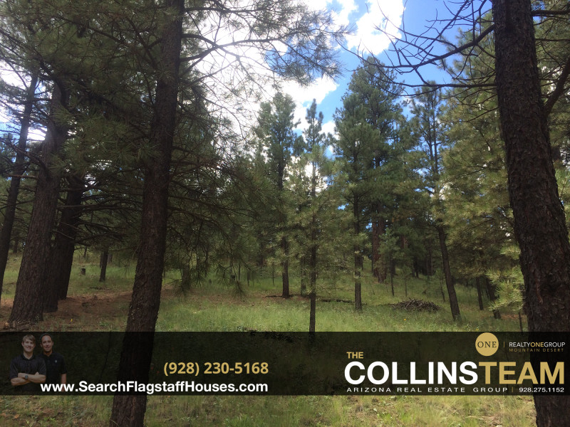 Flagstaff Land for Sale 4495 Hidden Hollow Rd
