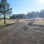 cabins for sale in flagstaff