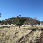 cabins for sale in flagstaff