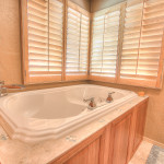 Luxury Master Bathtub williams