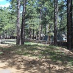 Flagstaff AZ Land for Sale