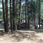 Flagstaff Land for Sale