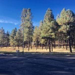 land in flagstaff az