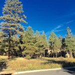 flagstaff land for sale