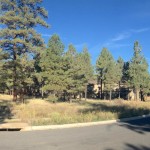 flagstaff land for sale