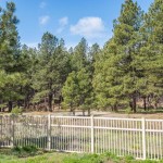 Forest Backed Flagstaff Real Estate