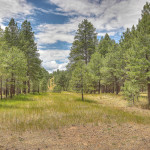 flagstaff acreage