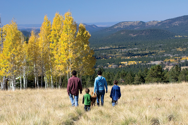 fall in flagstaff