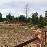 timbernook lots for sale