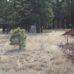 lot in Sherwood Forest Estates Flagstaff AZ