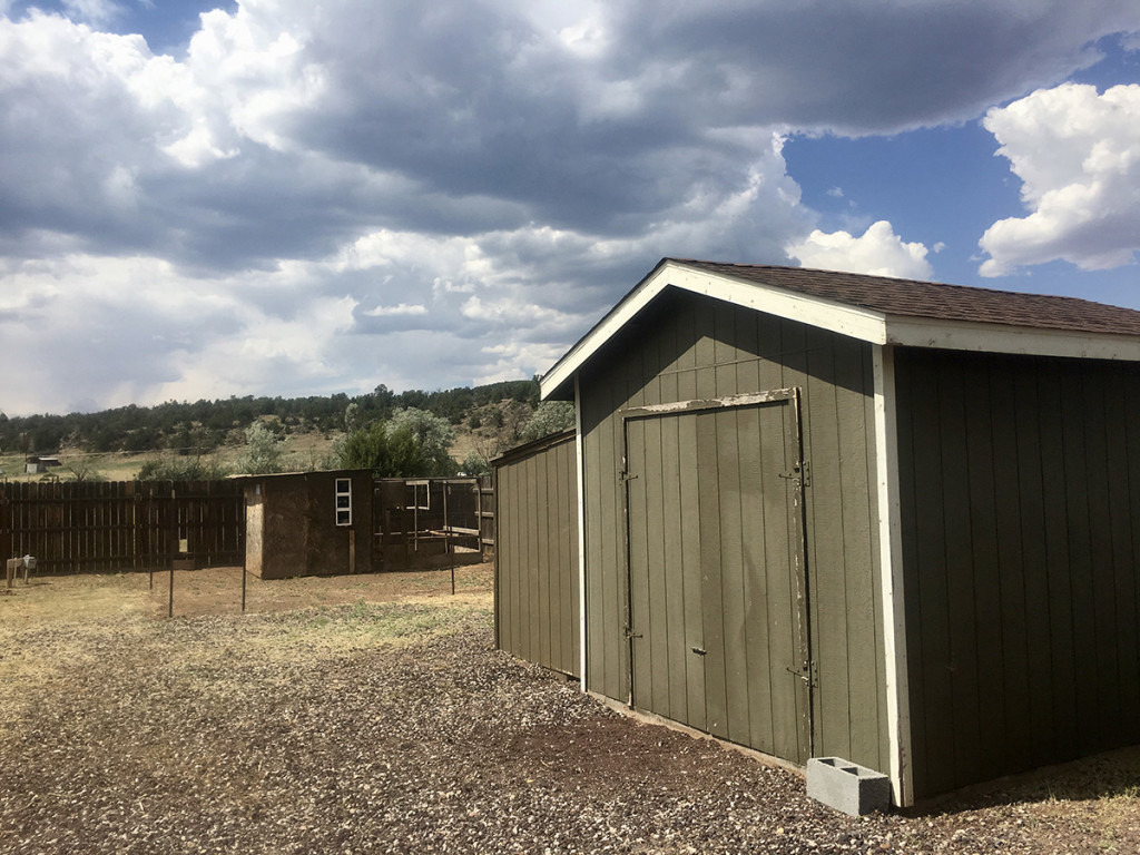 flagstaff home with shed