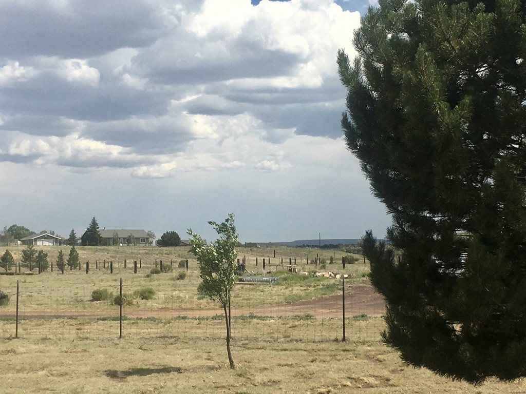 home on acreage in flagstaff