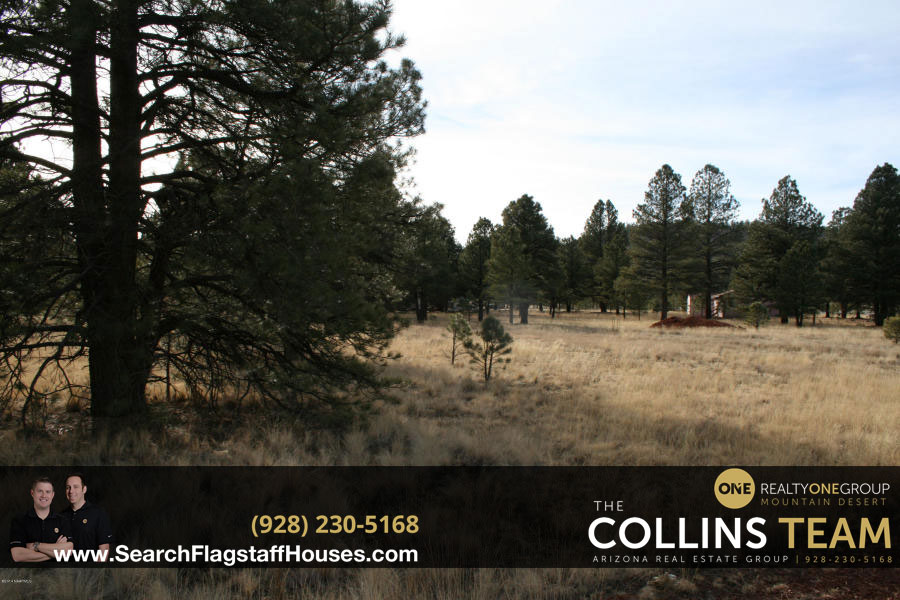 Homes for sale in Sherwood Forest Estates Flagstaff AZ