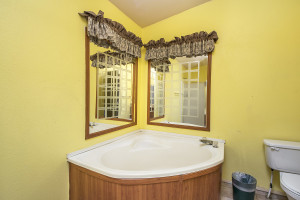 master bath tub