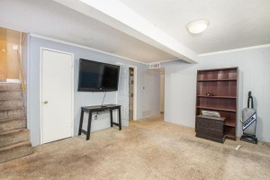 flagstaff basement home