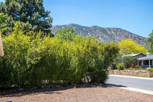 East Flagstaff Home with New Roof near Mt Elden