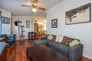 living room - Lake Mary Estates