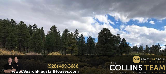 2+ Acre Builder-Ready Lot in Flagstaff - 9181 N Champagne Ln