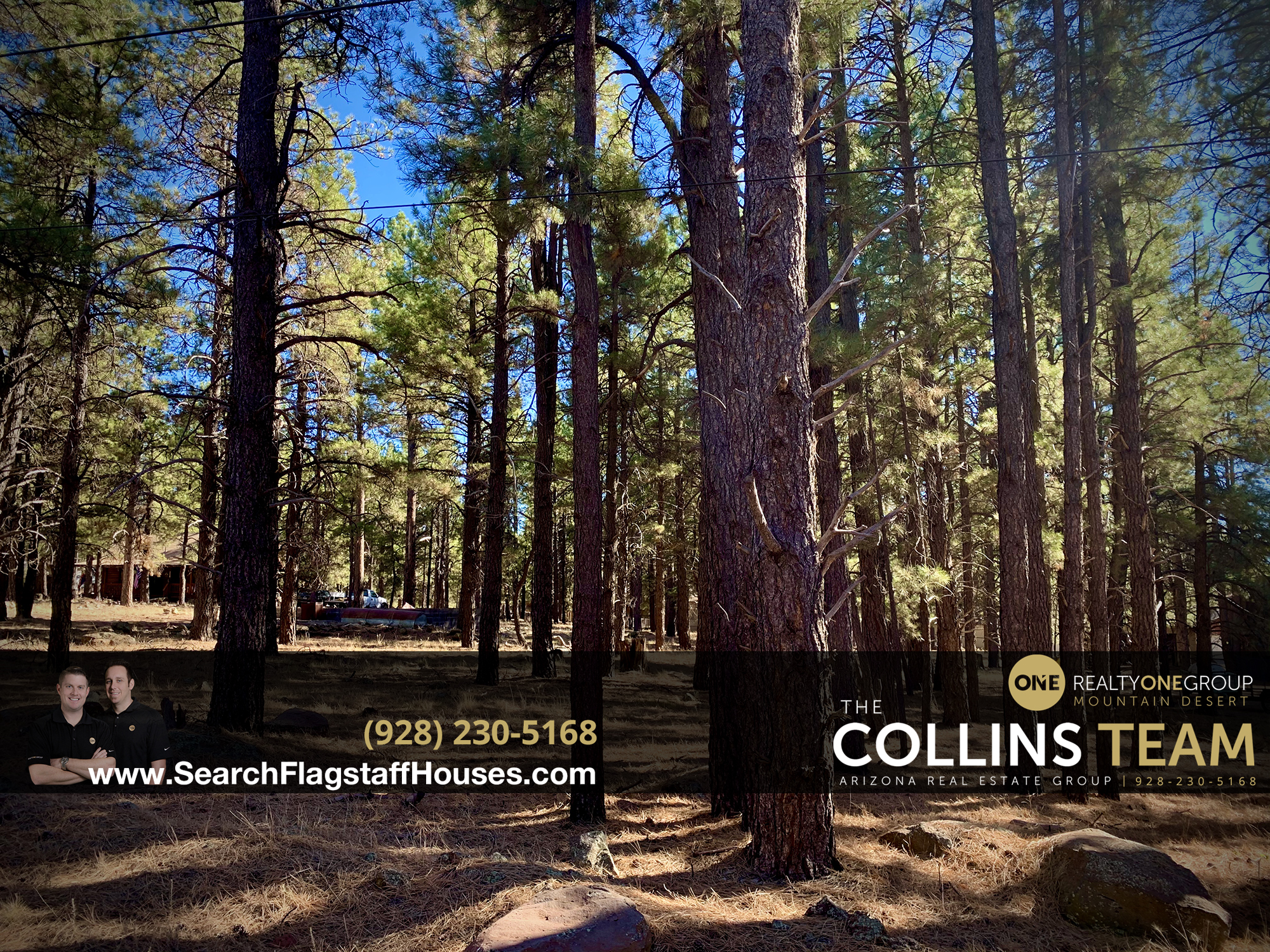 Heavily Treed lot in Williams - 7184 E Knighthood Ln