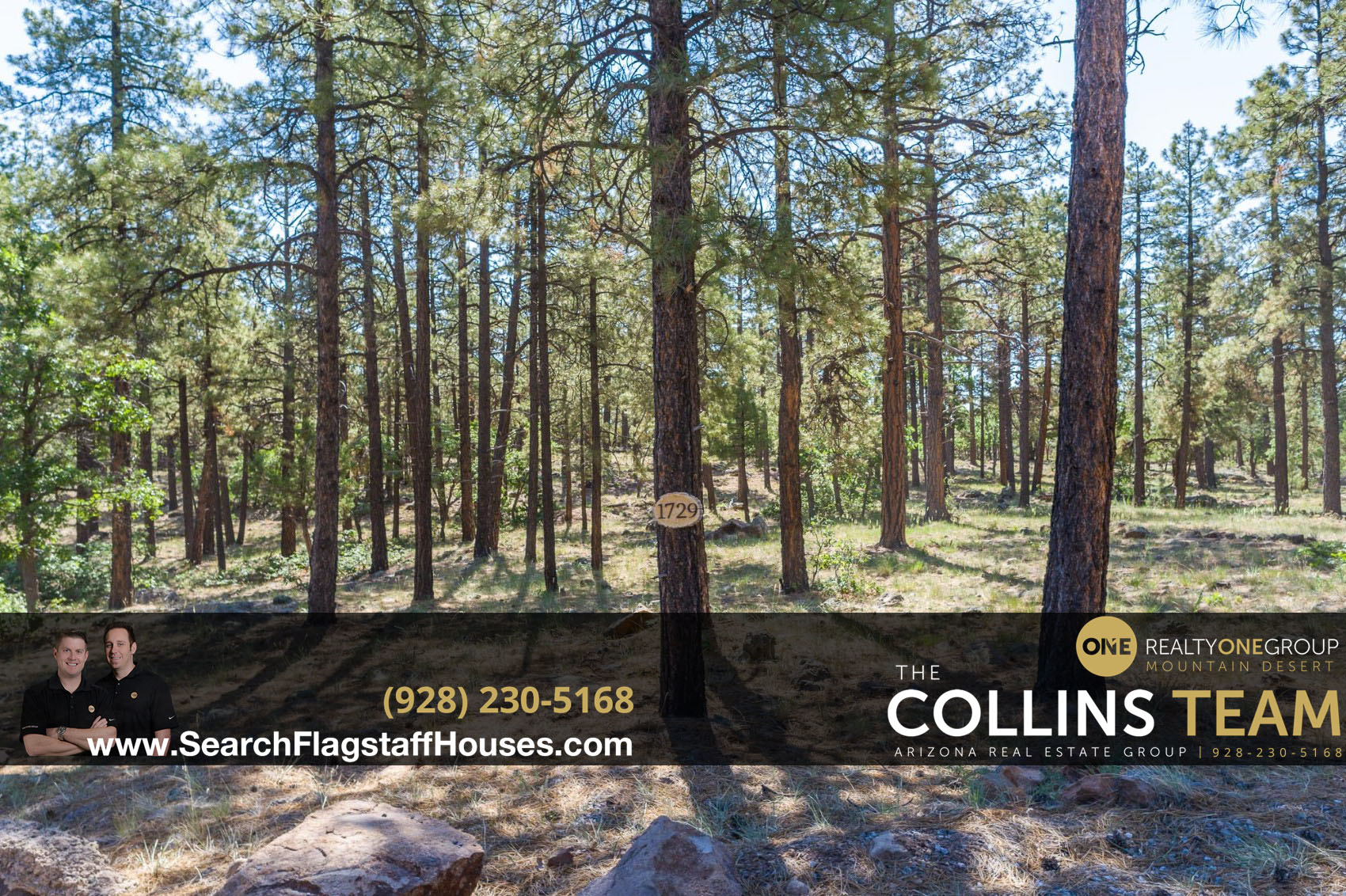 Williams 4 Acre Pine Meadow Estates Lot: 1729 Pine Ridge Dr Unit 17