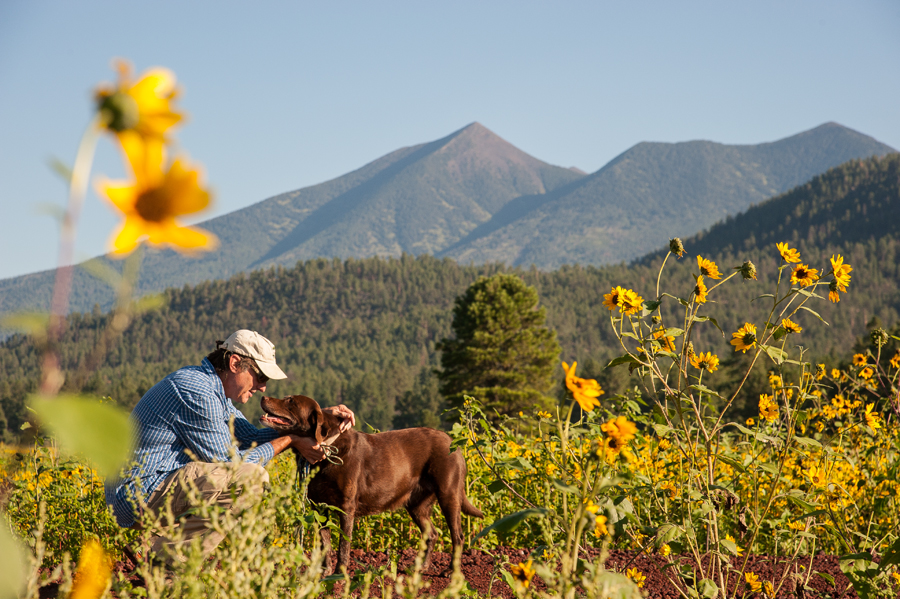 Top 5 Reasons to Relocate to Flagstaff, Arizona!