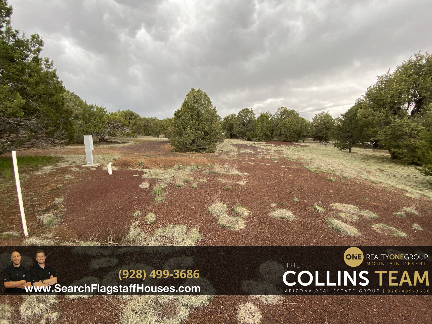 Williams AZ 1 Acre Lot w/ Septic & Electric Pedestal - NO HOA - 7185 N Audrey Way