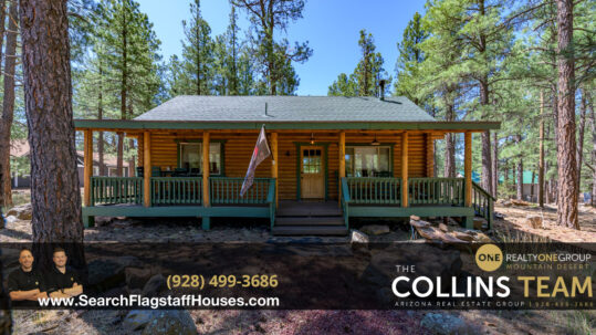 Williams Sherwood Forest Log Cabin - 7226 E Knighthood Ln
