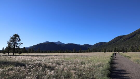 Top Things to Look for in Your Future Flagstaff Home in 2025