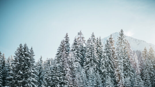 Northern Arizona Housing Market Update: Winter 2025/2026 Edition