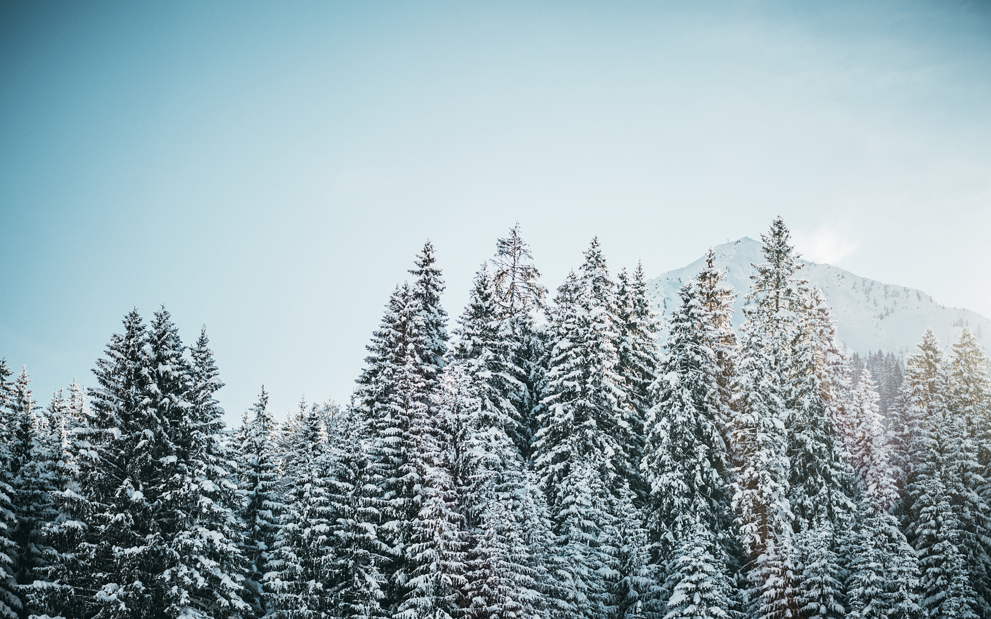 Northern Arizona Housing Market Update: Winter 2025/2026 Edition