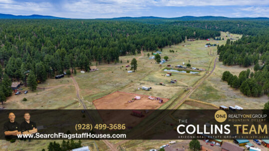Flagstaff 1 Acre Elk Park Meadows Lot + Tiny Home - 5474 Stonehouse Dr